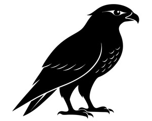 Hawk Bird Silhouette Vector Art