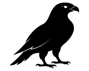 Hawk Bird Silhouette Vector Art
