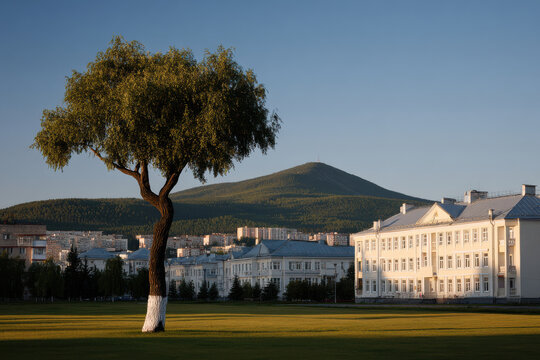 serene park in barnaul featuring single prominent tree against majestic mountain backdrop