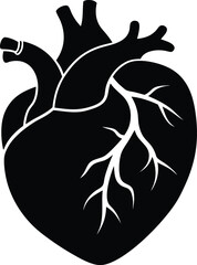 Human Heart Vector Art, Human Heart Silhouette