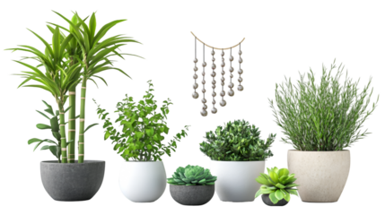 Modern Minimalist Home Decor with Variety of Potted Plants and Wall Hanging