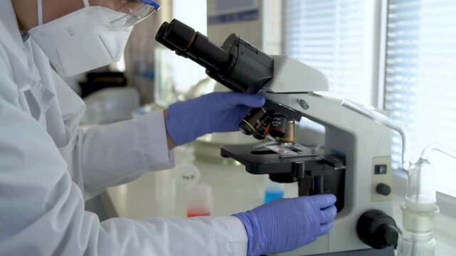 Microscopic focus on herpes simplex virus, studied to understand the impact of the virus. Researchers are working to develop antiviral treatments.