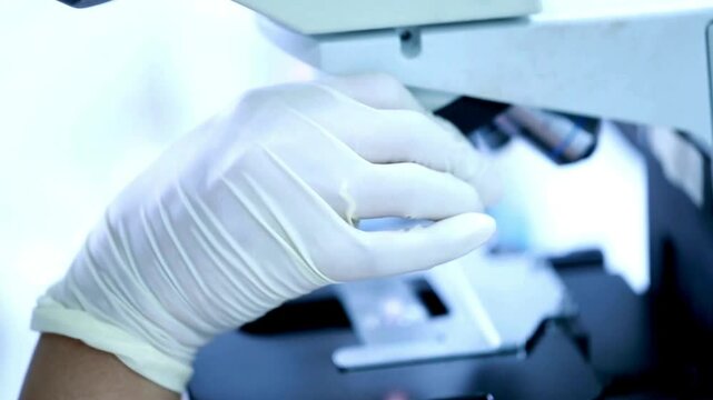 Microscopic focus on herpes simplex virus, studied to understand the impact of the virus. Researchers are working to develop antiviral treatments.