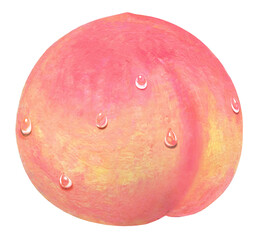 Fototapeta premium 水滴の付いた瑞々しい桃のイラスト