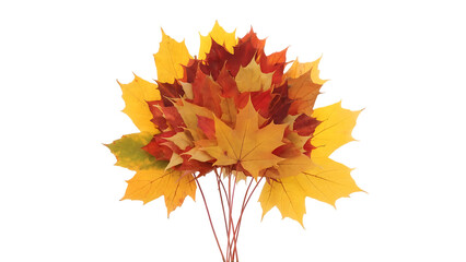Vibrant Autumn Maple Leaves Bouquet Isolated on transparent background Perfect for Fall Designs and Seasonal Decorations