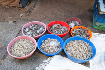 Fish market in Kochi India, market stall with freshly caught seafood, fishing industry at the...