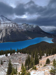 Cloudy evening skies over the teal-emerald-turquoise Lake Peyto, backed by peaks Peyto and Caldron...
