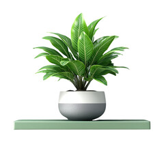 3D green shelf holding a potted plant isolated on transparent background.