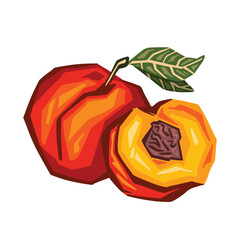 Peach composition hand drawn vector color