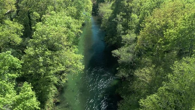 River Lerez Stream Through Wild Forest Trees Near Pedre In Cerdedo-Cotobade, Pontevedra, Galicia, Spain. Aerial Drone Shot