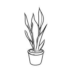 vector plants in pots as decoration