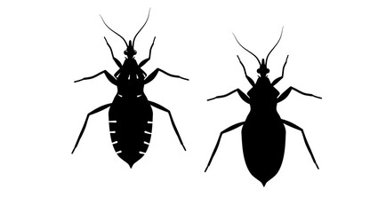 Panstrongylus megistus symbol, black isolated silhouette