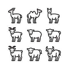 Fototapeta premium Line Art Animal Icons Camels, Llamas, Sheep, Goats, and More