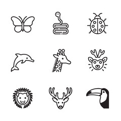 Obraz premium Collection of Line Art Animal Icons Butterfly, Snake, Ladybug, Dolphin, Giraffe, Deer, Lion, Toucan