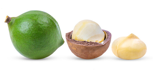 Macadamia nuts on transparent png (Image from camera)