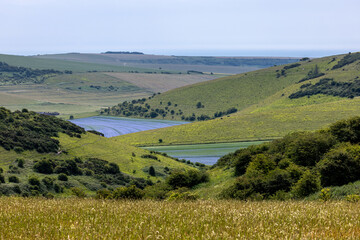 Looking down from Kingston Ridge in Sussex at flax fields at Balsdean Bottom, with the ocean beyond