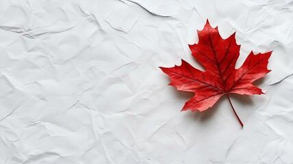 minimal design with red maple leaf on white paper background and soft shadows.  canada day