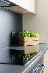 Modern kitchen interior with fresh vegetables on black countertop