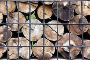 Fototapete Rund stack of weathered firewood storage in steel grate © andy0man
