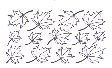 Collection of purple outline maple leaves isolated on white background