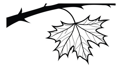 Single maple leaf on branch line art isolated on white background