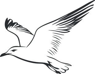 Fototapeta premium Black and white line art illustration of a seagull bird flying with wings spread wide in flight