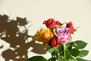 三色のバラ