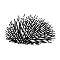 Grassy half circle with long, pointy leaves in black, lower left over stark white