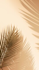 Fototapeta premium Palm leave silhouette sunlight outdoors.