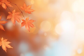 Fototapeta premium Orangey brown maple backgrounds autumn branch.