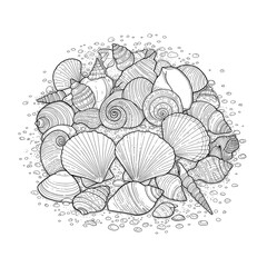 Fototapeta premium Assortment of shells illustrated with spirals and lines on a grainy sandy texture