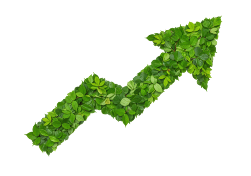 Isolated Green Leaf Arrow Pointing Upward