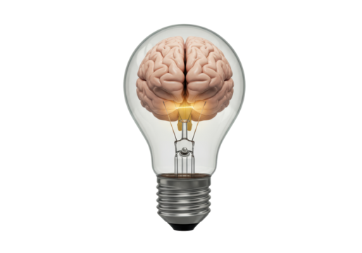Isolated Human Brain Inside Light Bulb Creative Idea