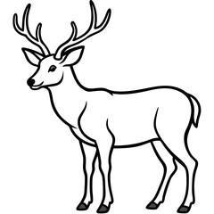 Wapiti and Vole Outline Art in Vector Style
