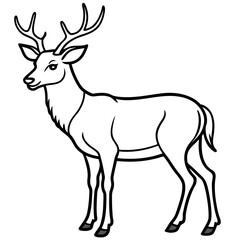 Wapiti and Vole Outline Art in Vector Style