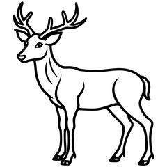 Wapiti and Vole Outline Art in Vector Style