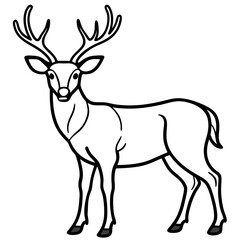 Wapiti and Vole Outline Art in Vector Style
