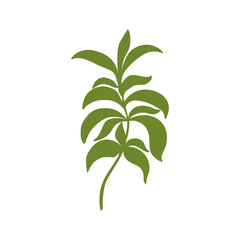 Stevia leaves plant silhouette logo. Botanical vector green branch of sugar flower for sign, print, card, label. Food ingredient, harvest, sweetener, natural sweets. Hand drawn isolated illustration 