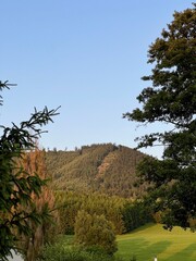 Scenic View of a Green Hillside Under Clear Blue Sky at Sunset