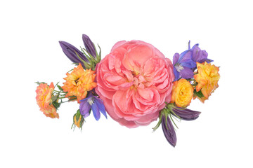 Vibrant mixed flowers, floral layout from with roses, delphinium, and marigolds on transparent background.

