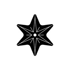creative details North Star Icon Vector Illustration