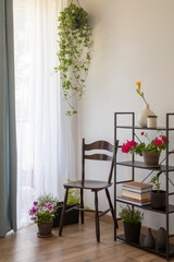 eclectic seating area with houseplants, books and a vintage chair