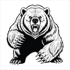 Illustration of an aggressive bear in a roaring stance, featuring intricate black line work on a white background. 