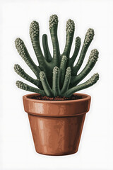 Green cactus plant in terracotta pot.
