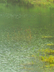 湖水に森の緑が映る09
