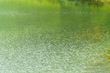 湖水に森の緑が映る10