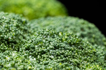 Green Broccoli Head with Detailed Texture