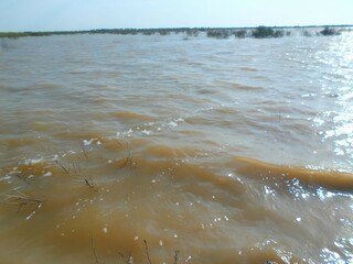 flooded landscape with muddy water, brown floodwater covering lowland area, rising water levels...