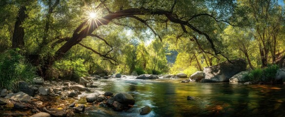 The serene river flowing under lush green trees illuminated by sunlight
