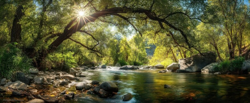 The serene river flowing under lush green trees illuminated by sunlight